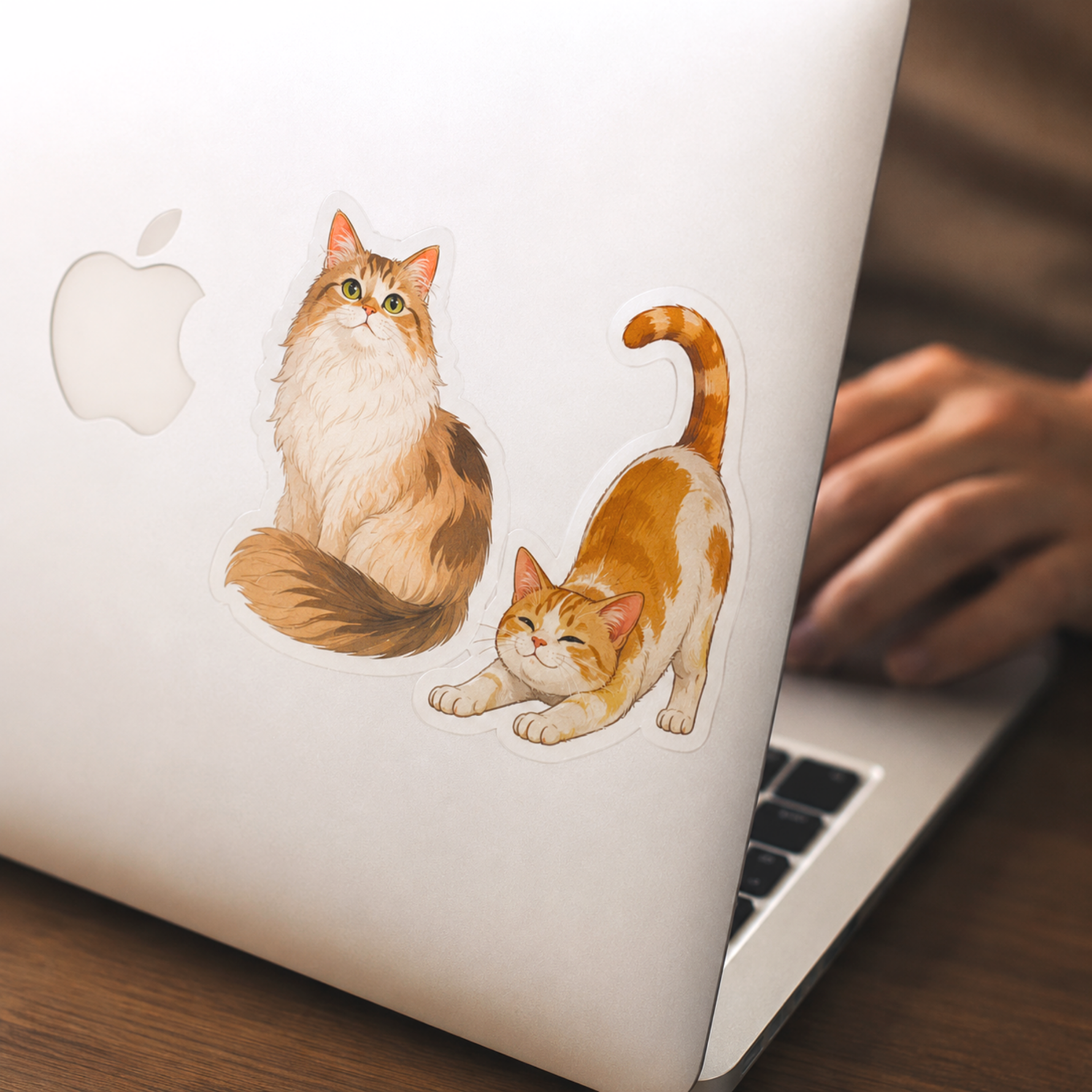 Custom cat illustration stickers applied to a silver laptop