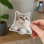 Hand holding a custom pet sticker of real cat in a home setting with a plant and furniture.