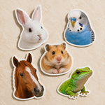Custom vinyl pet stickers featuring a rabbit, bird, hamster, horse, and gecko
