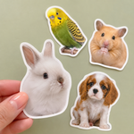 Custom pet stickers featuring a rabbit, bird, hamster, and puppy
