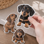 Three custom pet dog stickers of dachshund puppies held by a hand on a wooden surface.