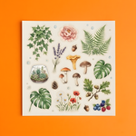 Sticker sheet featuring watercolor illustrations of ivy, ferns, monstera leaves, flowers, mushrooms, acorns, pinecones, berries, and botanical elements on a white background.