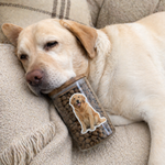 A golden retriever lies on a couch next to a jar of dog food featuring a sticker made from its own photo.