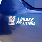 Custom blue bumper sticker featuring a cute kitten and text I BRAKE FOR KITTENS.