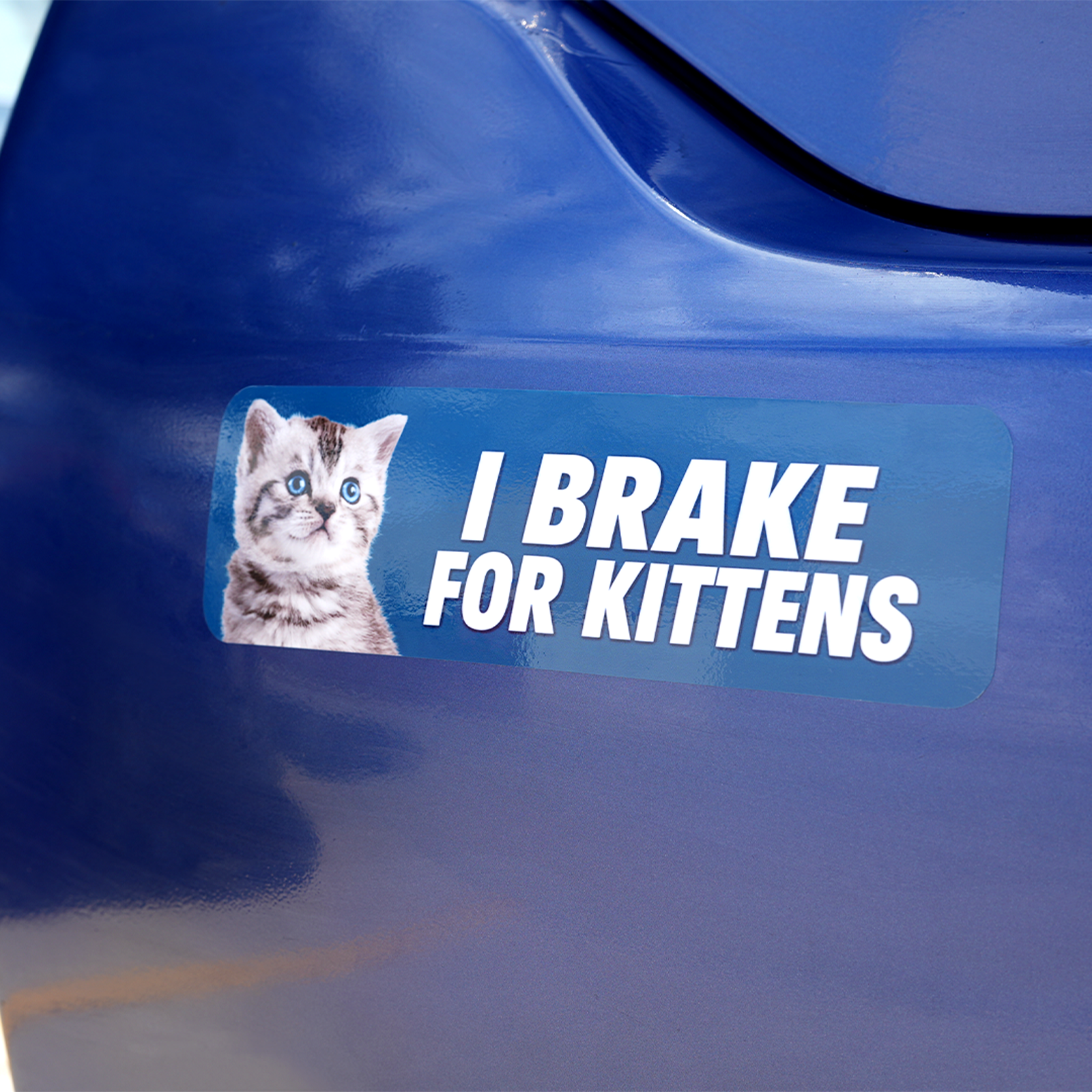Custom blue bumper sticker featuring a cute kitten and text I BRAKE FOR KITTENS.