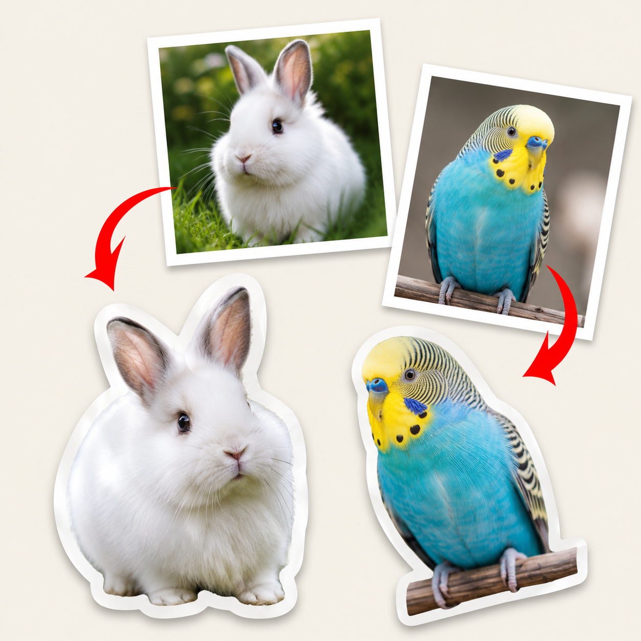 Pet photos turned into custom stickers featuring a rabbit and a bird